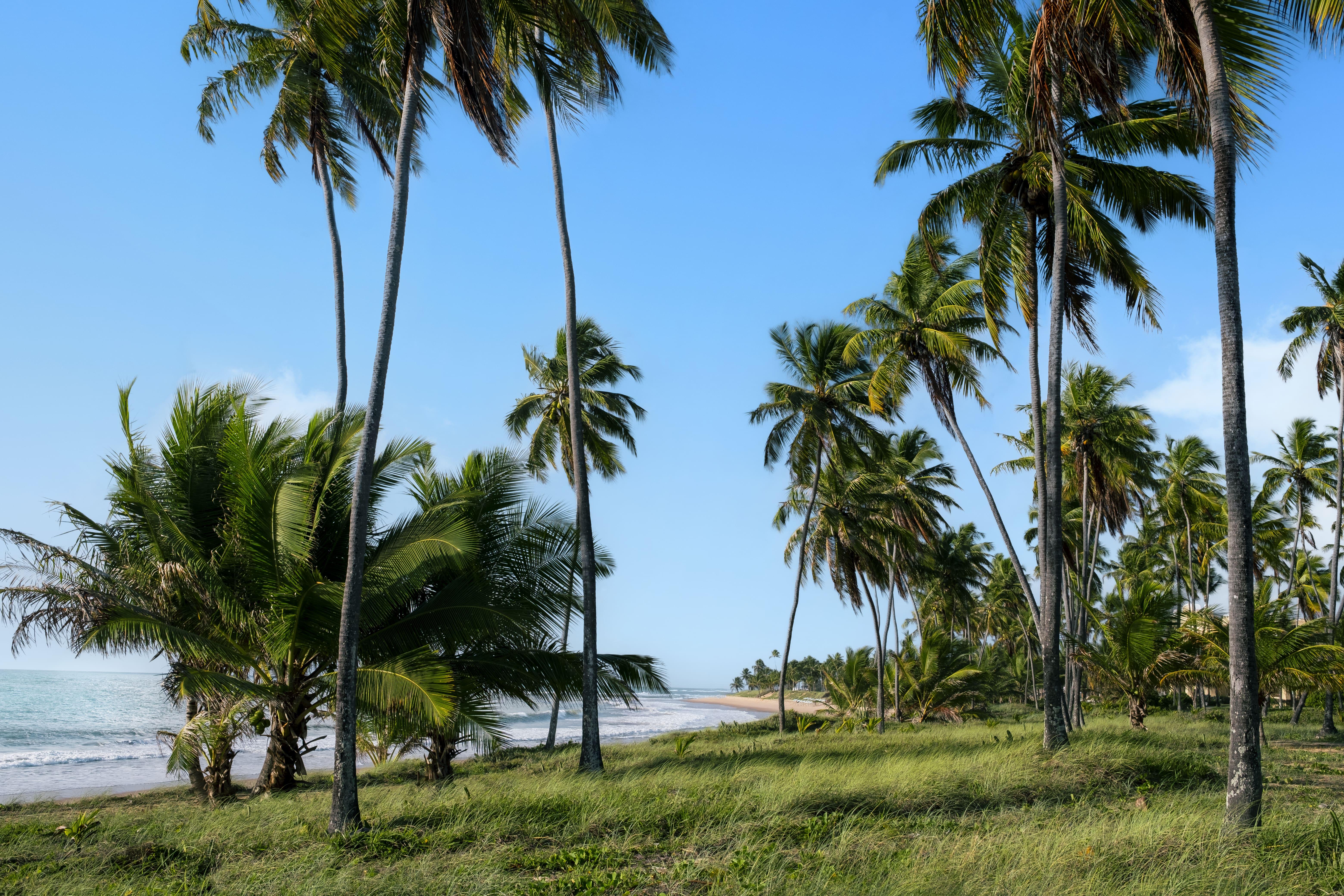 Resort Iberostar Selection Do Praia do Forte